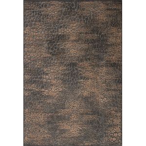 Vloerkleed Acsento Faro 880 Brown Black - maat 280 x 380 cm