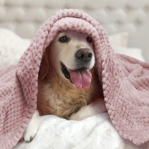 huisdierdeken voor hond of kat, zachte afwerking, zware winterdeken, fleece deken gezellig kattenbed 100.1L x 80W centimetres