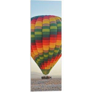 WallClassics - Vlag - Meerkleurige Luchtballon Geland op Woestijn - 20x60 cm Foto op Polyester Vlag