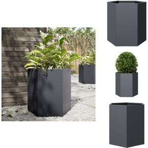 vidaXL Plantenbak - Plantenbakken - Bloempot - Planten Bak - Plantenbak zeshoek 46x40x45 cm staal antracietkleurig