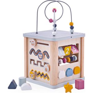 Bigjigs Toys - Activiteitenkubus