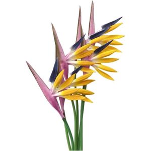 Veelkleurige kunstbloemen 6 stuks paradijsvogel 58 cm permanente bloem Strelitzia tropische imitatie plant bloemboeketten voor kantoor thuis feestdecoraties potplanten (paarsgeel)