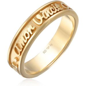 Elli Dames Ring Dames Band Woorden Amor Vincit Omnia Elegant in 925 sterling zilver