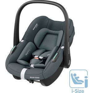 Maxi-Cosi Pebble S Autostoeltje - Tonal Graphite - Vanaf de geboorte tot 15 maanden
