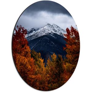 WallClassics - Dibond Ovaal - Witte Besneeuwde Bergtop door Herfstkleurig Bos - 30x40 cm Foto op Ovaal (Met Ophangsysteem)