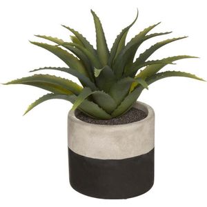 Kunstmatige groene plant aloë vera 28cm met tweekleurige pot - Overig - Zwart - Zwart - SILUMEN
