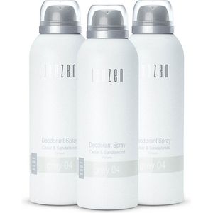 JANZEN Deodorant Spray Grey 04 3-pack