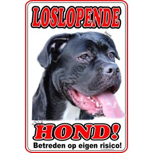 Cane Corso 122...20x30cm...Loslopende Hond