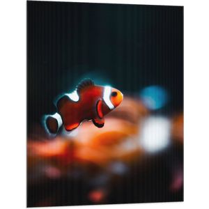 WallClassics - Vlag - Nemo Vis - 75x100 cm Foto op Polyester Vlag