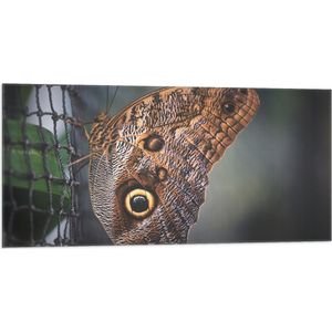 WallClassics - Vlag - Bruine Vlinder op het Hek - 100x50 cm Foto op Polyester Vlag