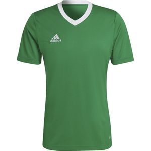 adidas Performance Entrada 22 Voetbalshirt - Heren - Groen- XL