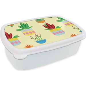 Broodtrommel Wit - Lunchbox - Brooddoos - Planten - Bloempot - Patronen - Regenboog - 18x12x6 cm - Volwassenen