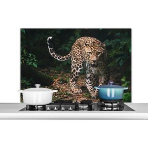 KitchenYeah - Spatscherm keuken - Spatscherm - Luipaard - Bos - Bladeren - Dieren - Keuken decoratie - Keuken achterwand - Muurbeschermer - 100x65 cm - Spatwand - Spatscherm gasfornuis
