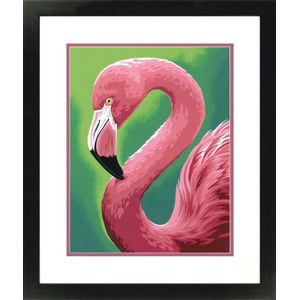 Flamingo Schilderen op nummer