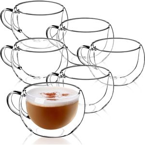 Dubbelwandige glazen mok 280 ml voor thee, koffie, cappuccino, water, espresso, ijs - met handvat (6 stuks)