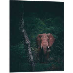WallClassics - Vlag - Olifant in de Jungle - 60x80 cm Foto op Polyester Vlag