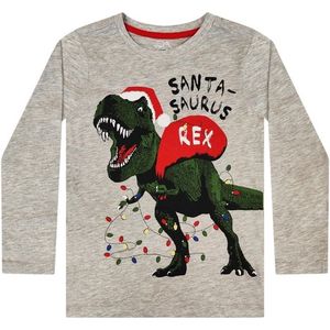 Kerst Longsleeve Santa Saurus Rex Grijs - Kinderen