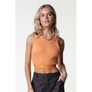 Colourful Rebel Danica Branded Cropped Rib Tanktop - M