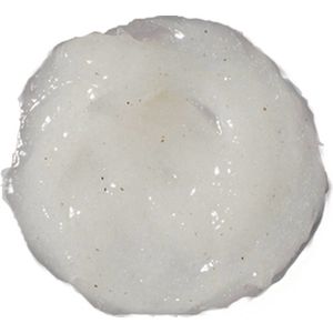 Brickell Renewing Face Scrub 118 ml. | Skincare