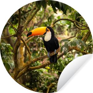 Behangcirkel - Vogel - Toekan - Jungle - Natuur - Zelfklevend behang - ⌀ 30 cm - Behangsticker - Behangcirkel jungle - Behangcirkel dieren - Behang zelfklevend - Cirkel behang