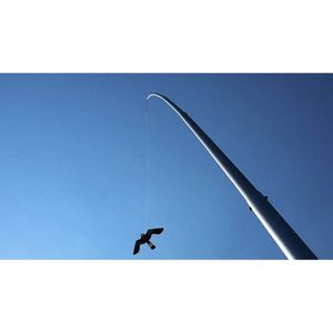 Ketrop Aluminium paal + Black Hawk Kite 13,5m