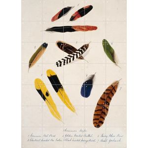 IXXI Collection of birds feathers, Margaret Bushby Lascelles Cockburn & Natural History Museum - 100 x 140 cm - Gratis ophangtool - Grote