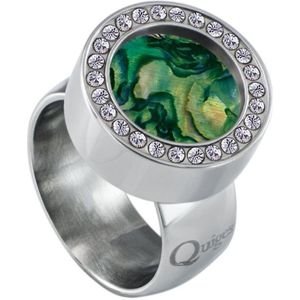 Quiges RVS Schroefsysteem Ring met Zirkonia Zilverkleurig Glans 19mm met Verwisselbare Parelmoer Groen Schelp 12mm Mini Munt
