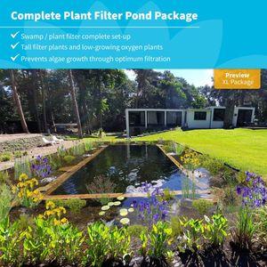 vdvelde.com - Japanse Holpijp - 30 stuks - Losse Pluggen - Equisetum Japonicum - 30 moerasplanten voor 2 m² - Volgroeide hoogte: 120 cm - Plaatsing: -1 tot -20 cm