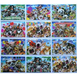Dieren Verjaardag Wenskaarten - 12 Stuks - Met en zonder tekst - 17 x 12 cm - L-151