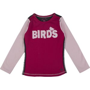 Birds by D-Rak T-shirt lange mouwen - roze/antraciet - maat 110