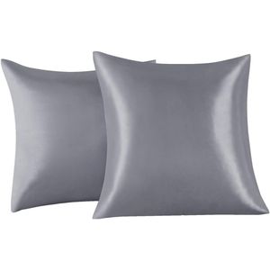 Set van 2 Satijn kussenslopen 65 x 65 cm, Zacht en Zijdig Bed Kussen Kussen Kussen Zilver, Envelop Sluiting, Anti-mijt en Hypoallergeen, Haar en Huid Bescherming tegen rimpels