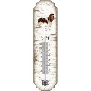 Thermometer: King Charles | Hondenras | Temperatuur binnen en buiten | -25 tot +45C