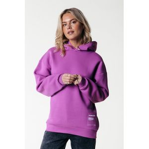 Colourful Rebel Label Clean Hoodie - S