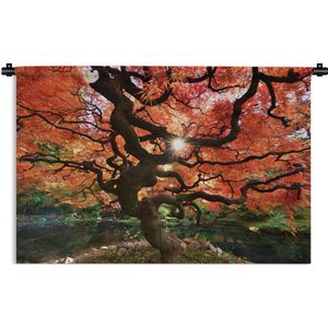 Wandkleed Esdoorn - Een Japanse esdoorn met aparte vormen Wandkleed katoen 150x100 cm - Wandtapijt met foto