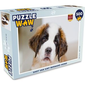 Puzzel Shot van Sint Bernard hond - Legpuzzel - Puzzel 500 stukjes
