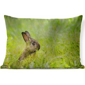 Sierkussens - Kussen - Baby konijn zittend in het gras - 60x40 cm - Kussen van katoen