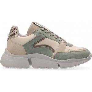 Maruti - Cody Sneakers Groen - Green - 39