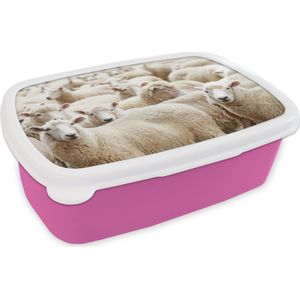 Broodtrommel Roze - Lunchbox - Brooddoos - Schapen - Wol - Wit - 18x12x6 cm - Kinderen - Meisje