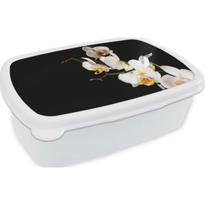 Broodtrommel Wit - Lunchbox - Brooddoos - Orchidee - Bloemen - Planten - Botanisch - 18x12x6 cm - Volwassenen
