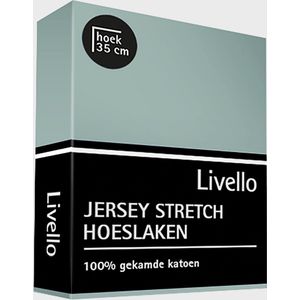 Livello (topper) Hoeslaken Jersey Misty Green 140x200