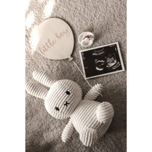 Zwangerschapsaankodiging - houten ballon - geboorte aankondiging - baby - social - wandhanger - mijlpaal - decoratie - Mommy musthaves