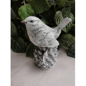 Wintervogeltje  wit-grijs met zilveren glitters  zittend op zilveren denappel