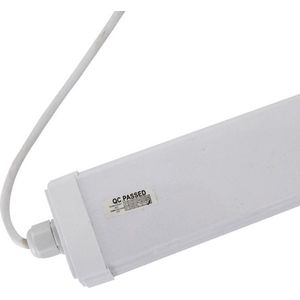 150 cm wasserdichte LED verringert 50W IP65 (20) Paket - Koel wit licht - Kunststof - Pack de 20 - Wit Froid 6000K - 8000K - SILUMEN