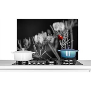 Spatscherm keuken 80x55 cm - Kookplaat achterwand Zwart-wit foto van een rode lieveheersbeestje op een plant - Muurbeschermer - Spatwand fornuis - Hoogwaardig aluminium