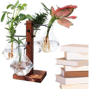 Desktop Plant Terrarium | Hydrocultuur Planter Kit - Moderne Air Planter Bulb Glazen Vaas .