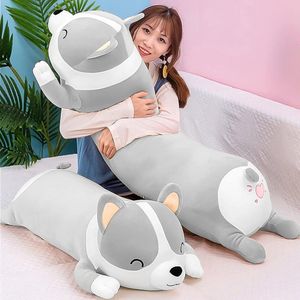 Shiba Inu Pluche kussen, hond, schattige corgi akita, zacht pluche dier, comfortkussen, geschenken voor meisjes en jongens (grijs, 120 cm)