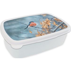 Broodtrommel Wit - Lunchbox - Brooddoos - Sneeuw - Vogel - Dier - 18x12x6 cm - Volwassenen
