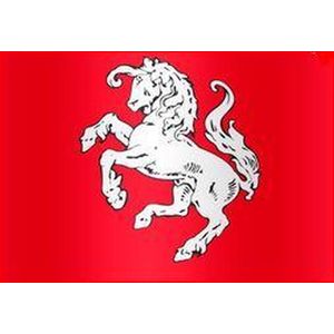 Officiele Twentse ros vlag 50x75cm - Spunpoly