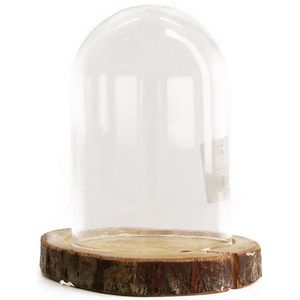 Dijk Natural Collections stolp - glas - houten bruin boomschijf plateau - D13 x H17,5 cm