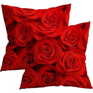Rode Rozen Bloemen Kussenhoezen 45 x 45 cm Set van 2 Rozen Bloemen Woondecoratie Boerderij Kussen Perzikhuid Fluwelen Sierkussenhoezen voor Slaapbank